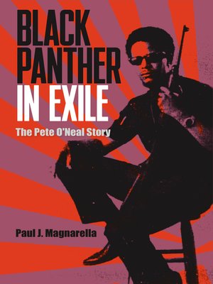 cover image of Black Panther in Exile